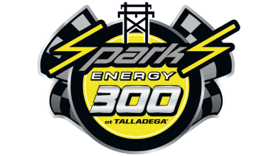 9X SPARKS ENERGY 300.png